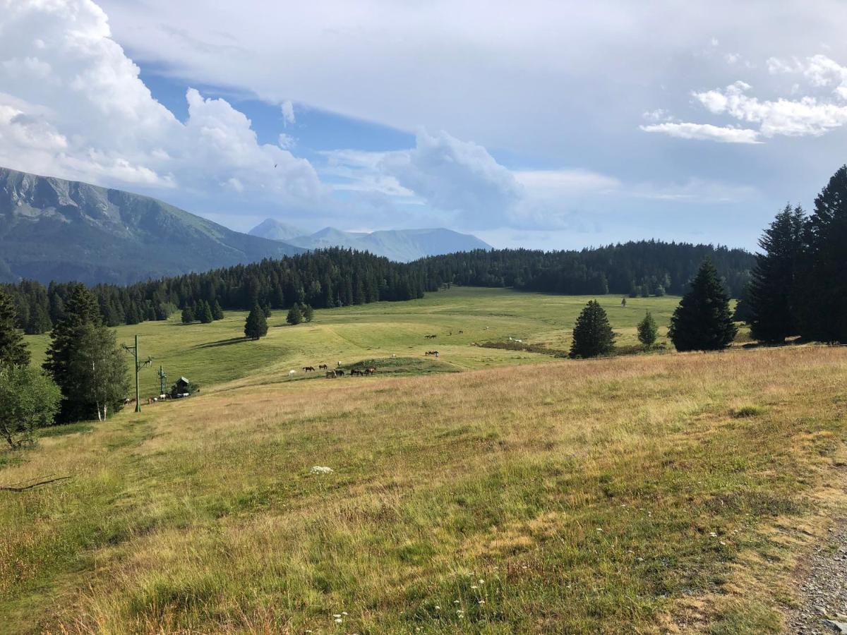 Апартаменты T2 Bis Sud -6 Pers- Chamrousse 1700 Bachat Bouloud Экстерьер фото