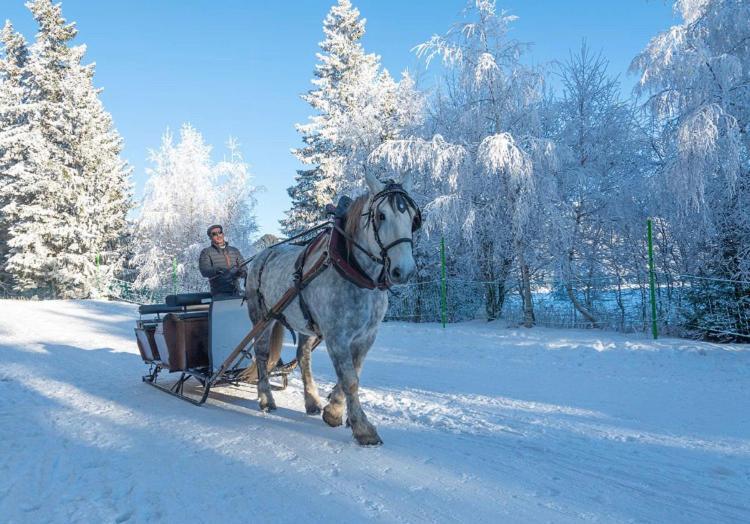 Апартаменты T2 Bis Sud -6 Pers- Chamrousse 1700 Bachat Bouloud Экстерьер фото